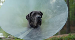 復仇戇狗聯盟電影劇照25