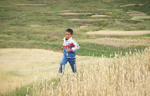 旺扎的雨靴電影劇照2