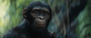 猿人爭霸戰：猩兇帝國電影劇照8