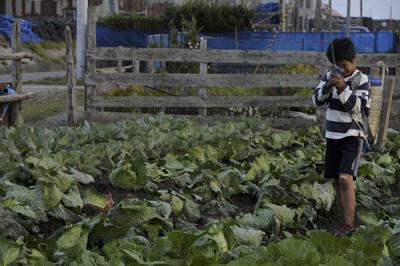 戀愛植男電影劇照8