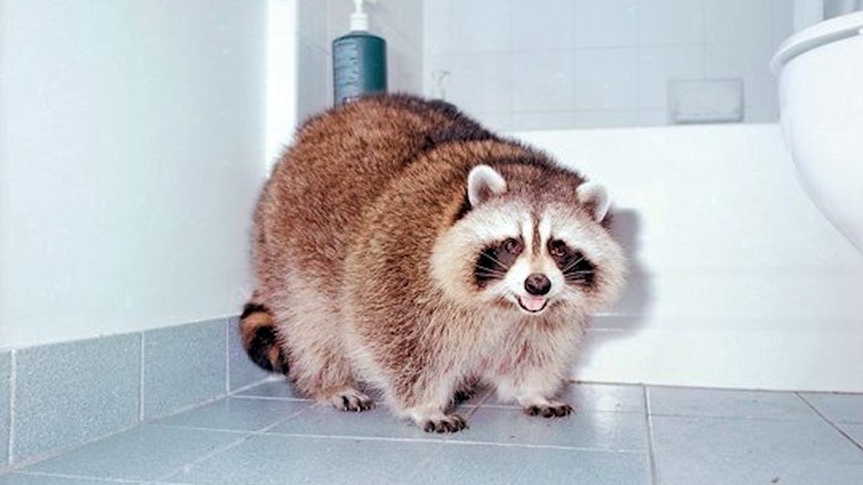 火海108電影劇照1