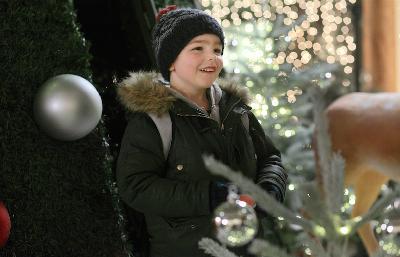 閃閃聖誕夢電影劇照7