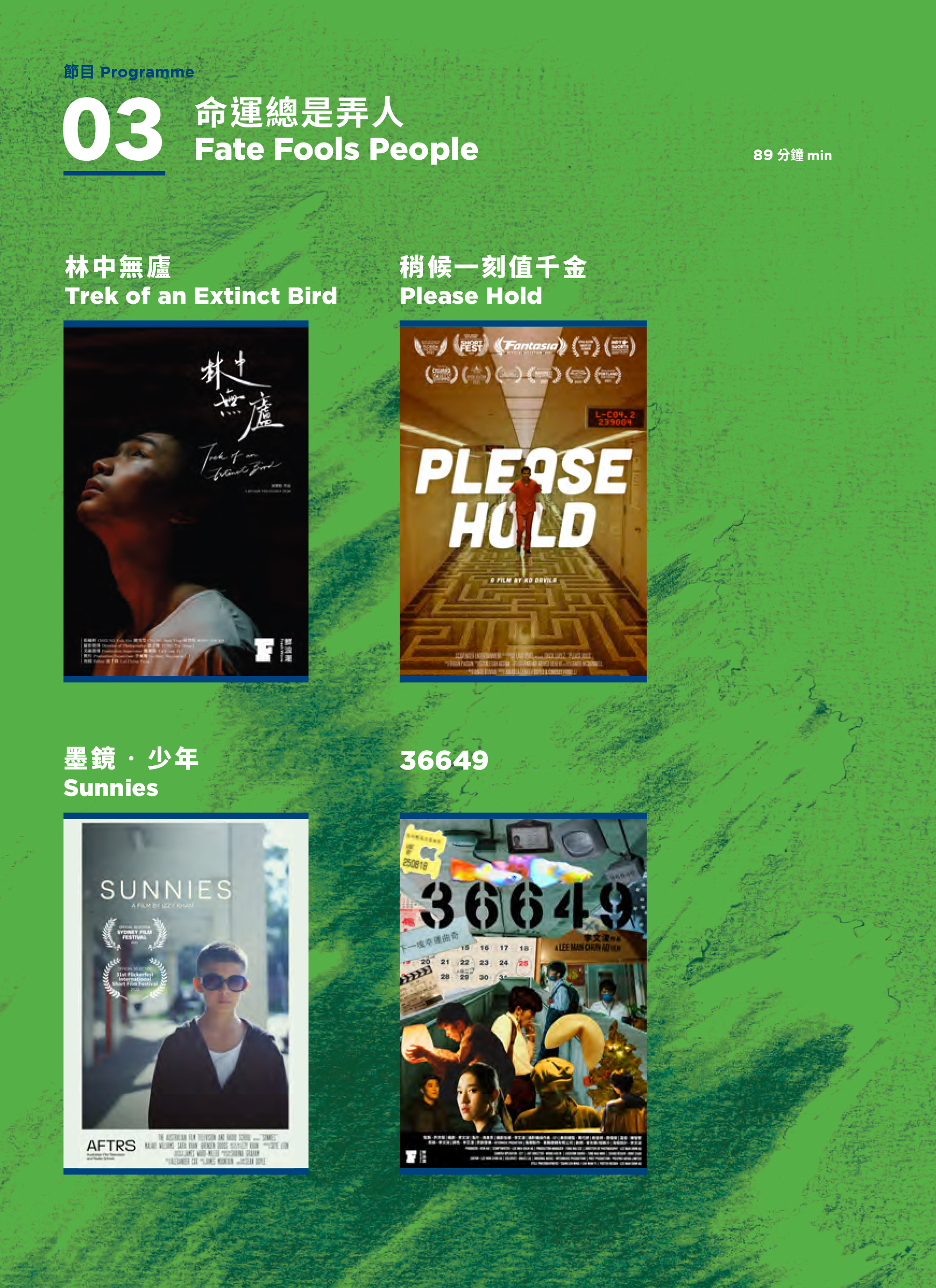 16th Fresh Wave: 命運總是弄人電影海報