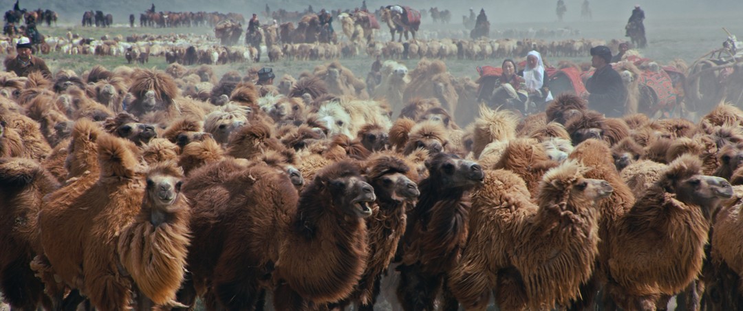 遠去的牧歌電影劇照16