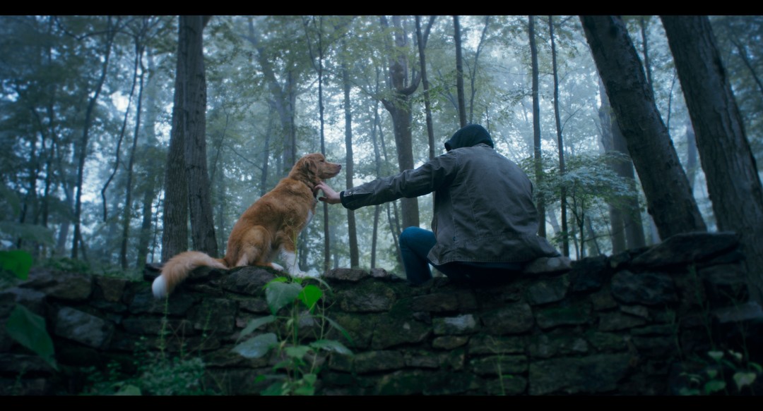 夜汪汪 心慌慌電影劇照2