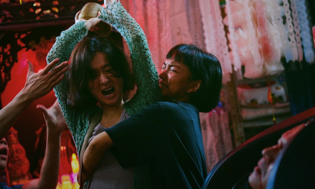 向陽·花電影劇照3