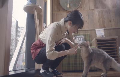 貓之Café電影劇照1