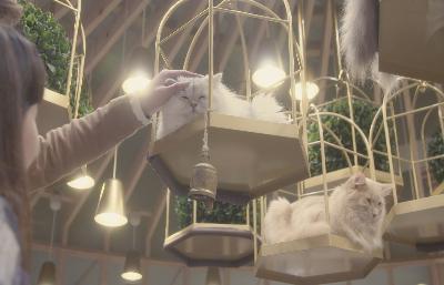 貓之Café電影劇照6