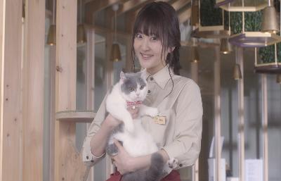 貓之Café電影劇照8