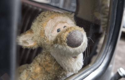 維尼與我電影劇照6