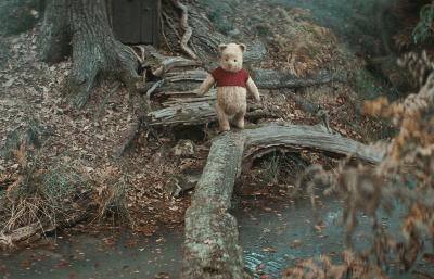 維尼與我電影劇照8