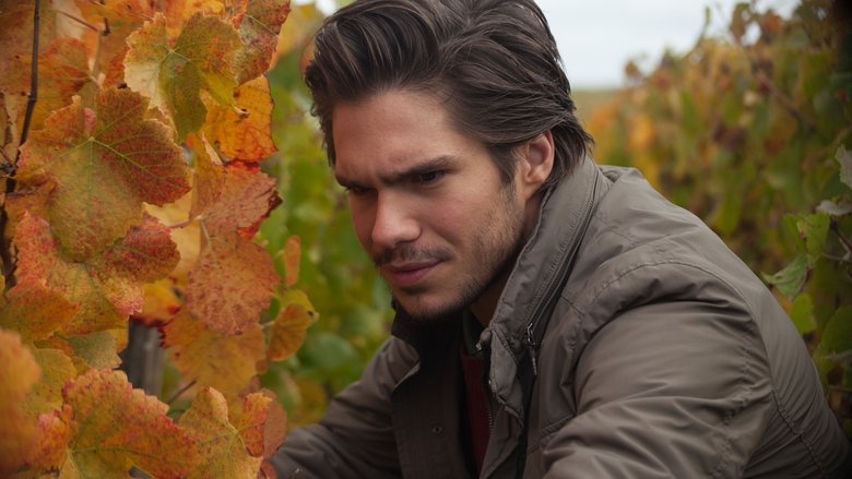 情尋酒鄉電影劇照1