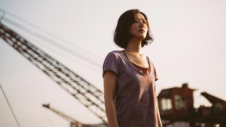 向陽·花電影劇照1