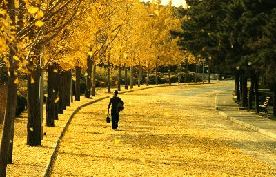 無問西東電影劇照9