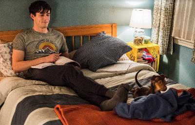 貝拉400哩的約定電影劇照5