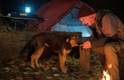 貝拉400哩的約定電影劇照10