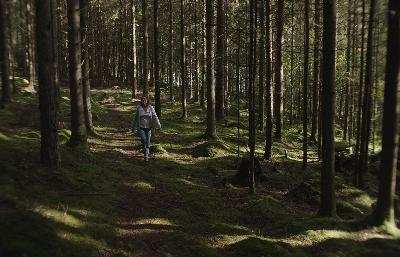 邊境奇聞電影劇照4