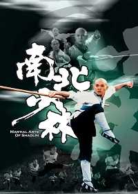 南北少林電影海報