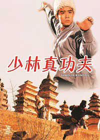 少林真功夫電影海報